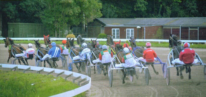 Derby